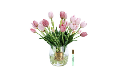 Heritage Tulips - Pink - HT02 (Carton of 1)